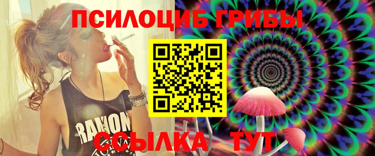 купить закладку  Галлюциногенные грибы Psilocybine cubensis  Вход с VPN  Бирск 