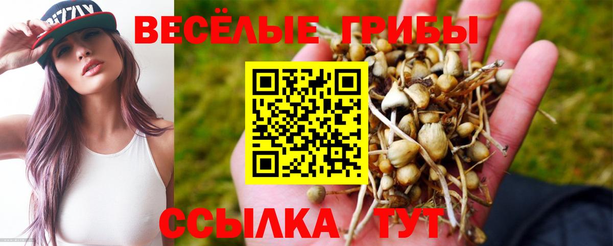 Галлюциногенные грибы мухоморы Бирск